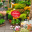 Panneau de jardin ovale - offre promotionnelle dans une jardinerie