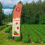 Bowflag® Select -  promotion de fraises bio