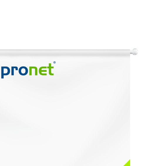 Petits drapeaux avec support à ventouse, détail du porte-drapeau