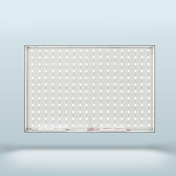 Cadre éclairé Q-Frame® LED - profilé 50 mm, sans visuel imprimé