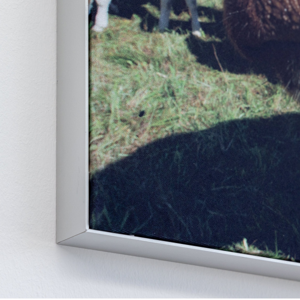 Toile tendue avec cadre mural Q-Frame®, profil15 mm