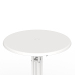 Plateau de table (vue du dessus)