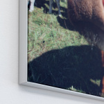 Cadre mural Q-Frame®- format paysage, profilé 15 mm