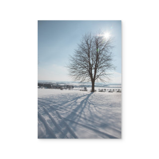 Poster Acrylglas, A3 Hochformat, 5 mm, mit Weißdruck - Winter