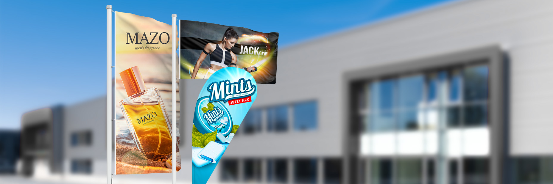 Drapeaux dans différentes versions